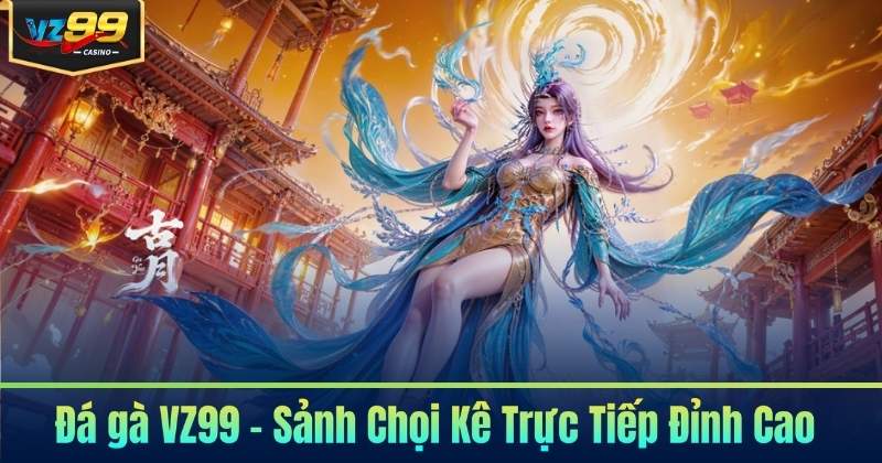 Đá gà VZ99 – Sảnh Chọi Kê Trực Tiếp Đỉnh Cao